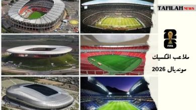 ملاعب كأس العالم