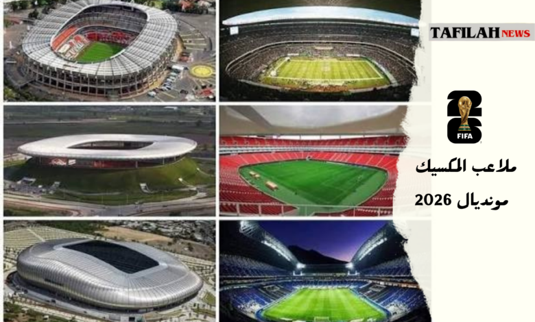 ملاعب كأس العالم